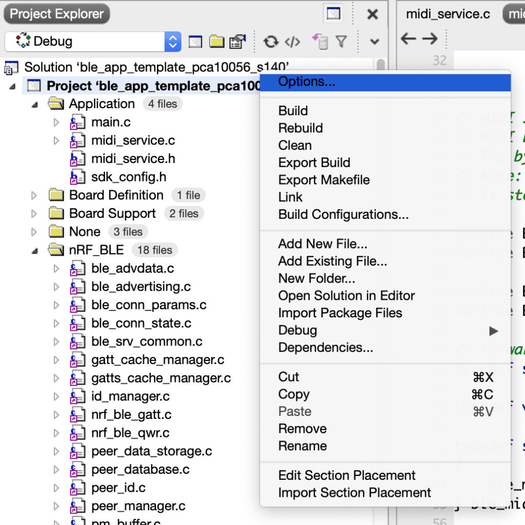 Project Options