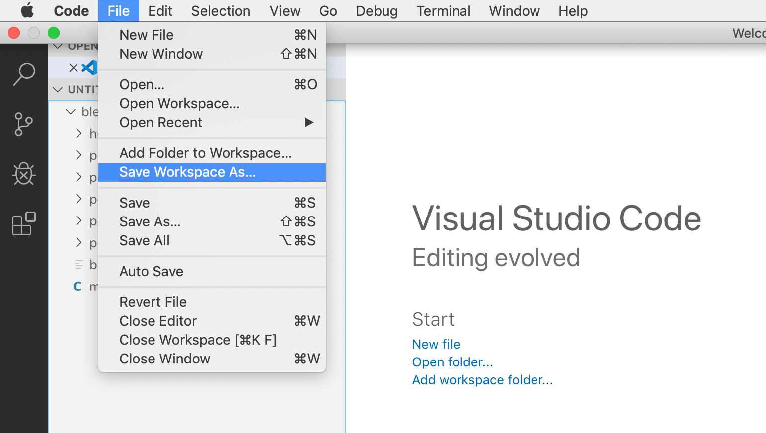 Save Workspace As